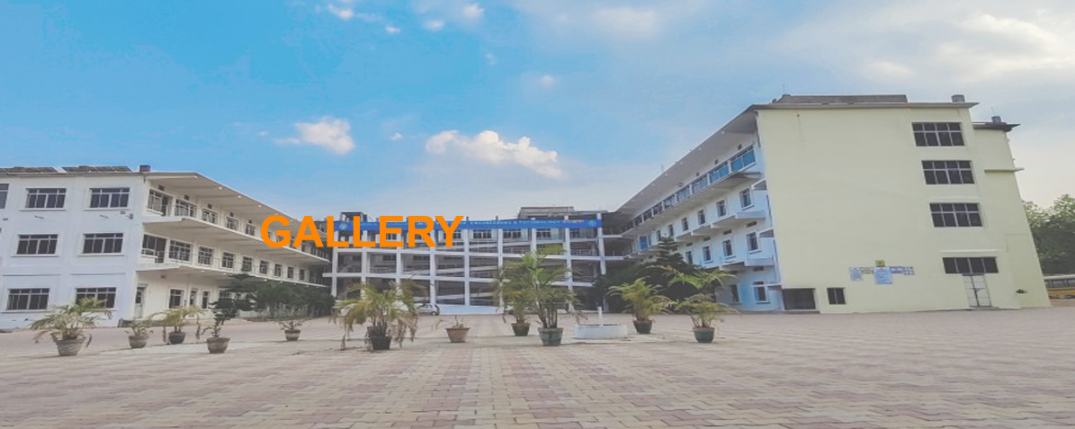 Video Gallery